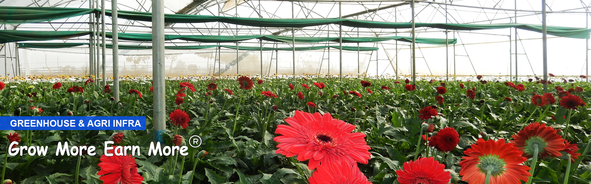 Greenhouse & Agri Infra