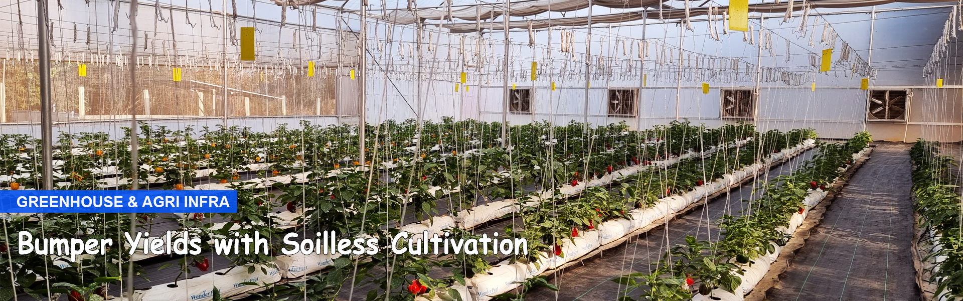 Sashanka Agro Tech