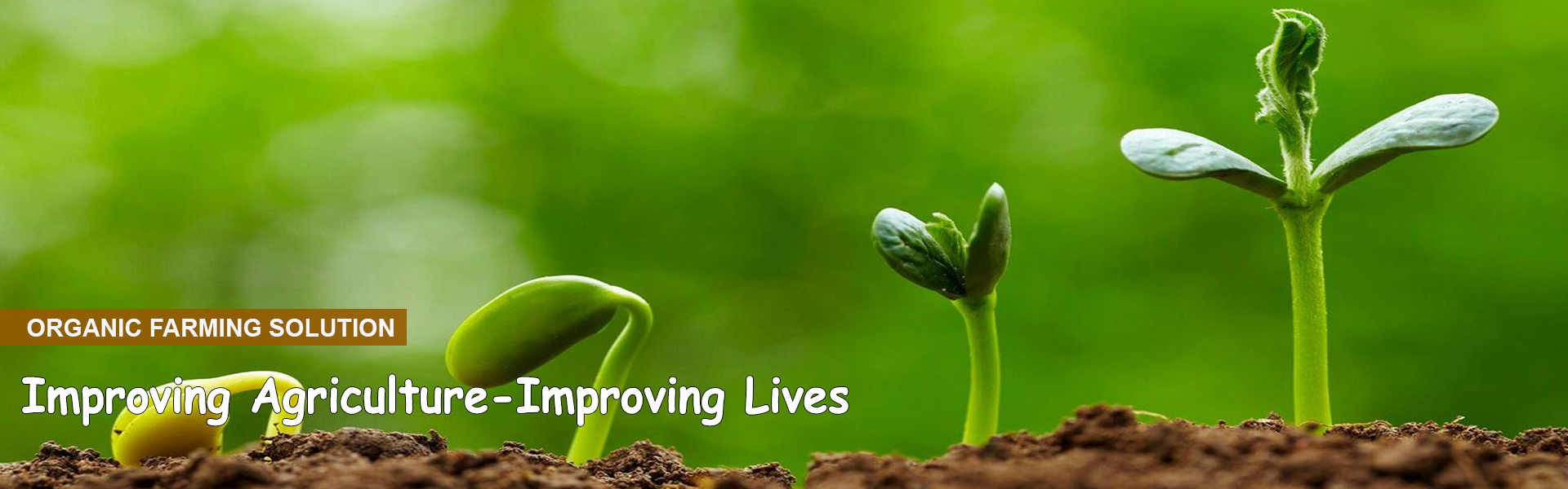 Sashanka Agro Tech