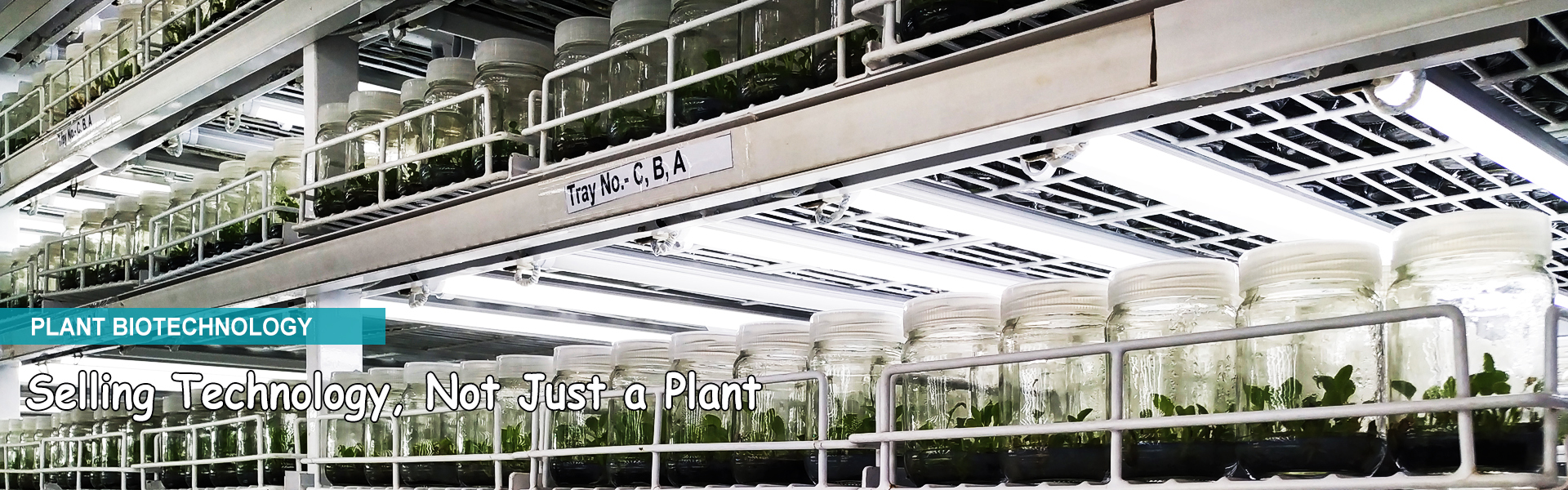 Plant Bio Technology