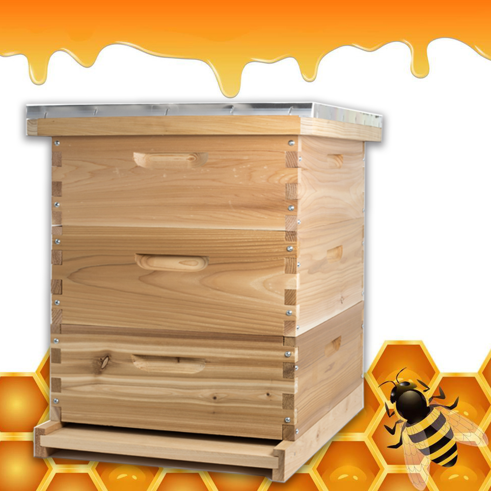 Bee Box